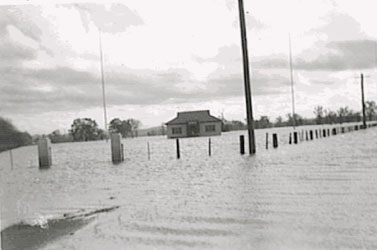 flood3.jpg